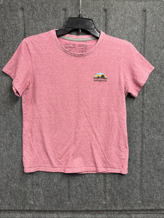 Patagonia Other - Patagonia Pink Short-Sleeve Crew Tee with Mountain Logo
